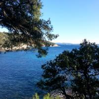 Chemin du Littoral - Giens 1