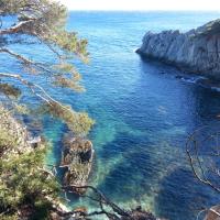 Chemin du Littoral - Giens 3