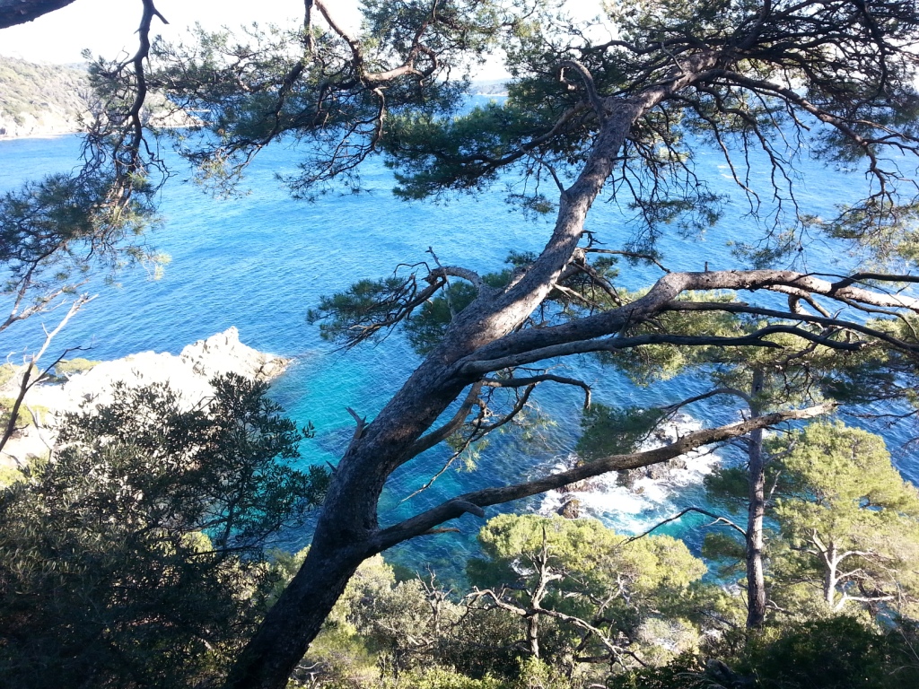 Chemin du Littoral - Giens 4