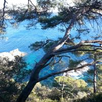 Chemin du Littoral - Giens 4