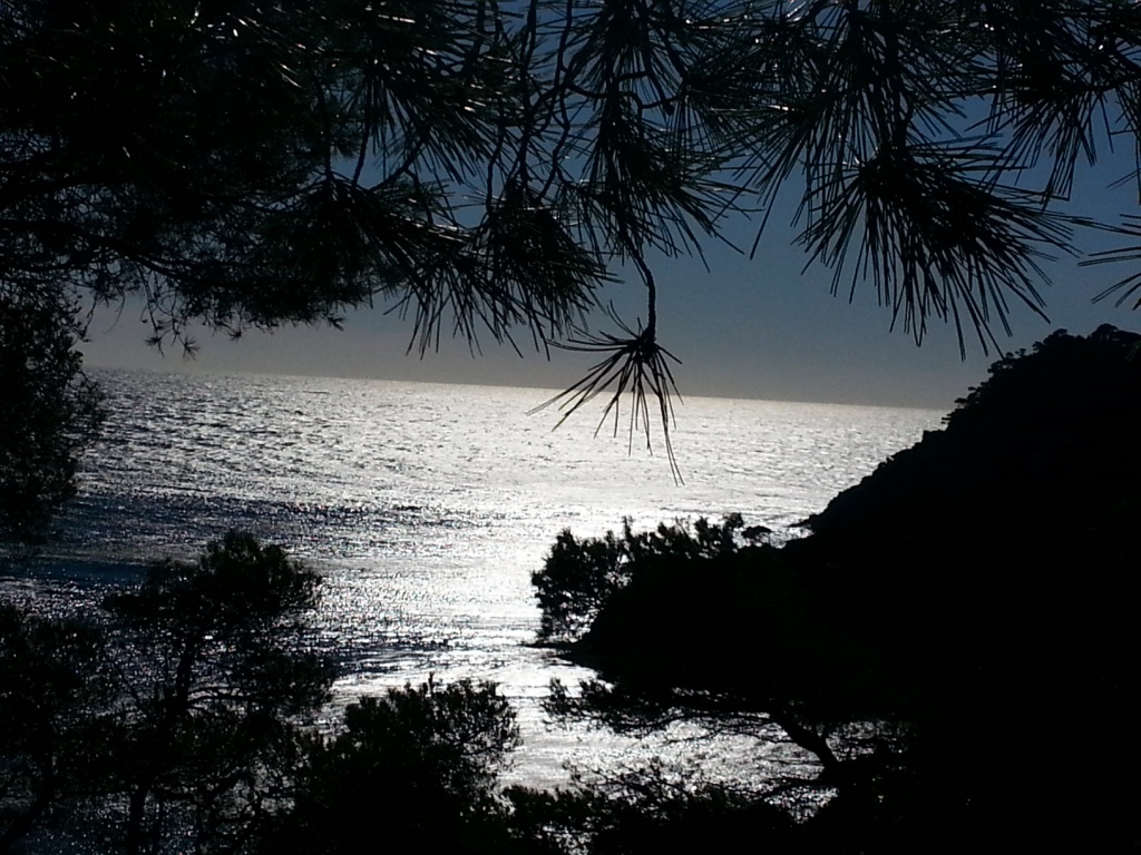 Chemin du Littoral - Giens 5