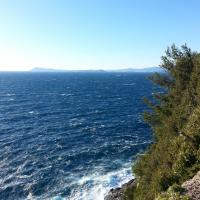 Chemin du Littoral - Giens 6