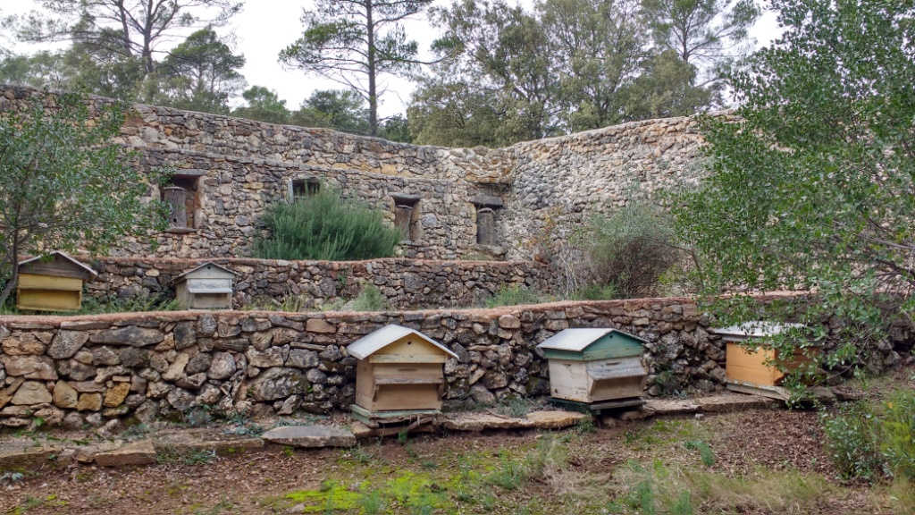 Apiers à Correns