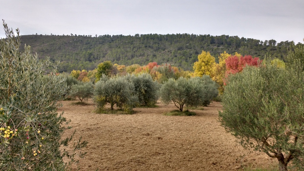 Automne à Correns 2