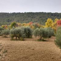 Automne à Correns 2