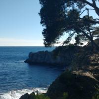 Chemin du Littoral - Giens 2