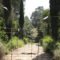 Jardin botanique de Rayol Canadel 1